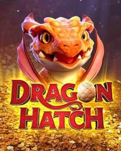 Crash bet