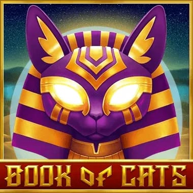 Robô aviator estrela bet gratis